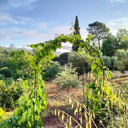 Villa Arrábida - Natural Park Azeitao